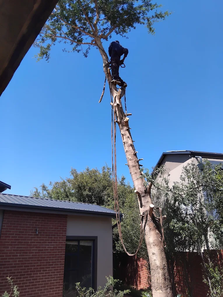 Refuse and garden waste removal